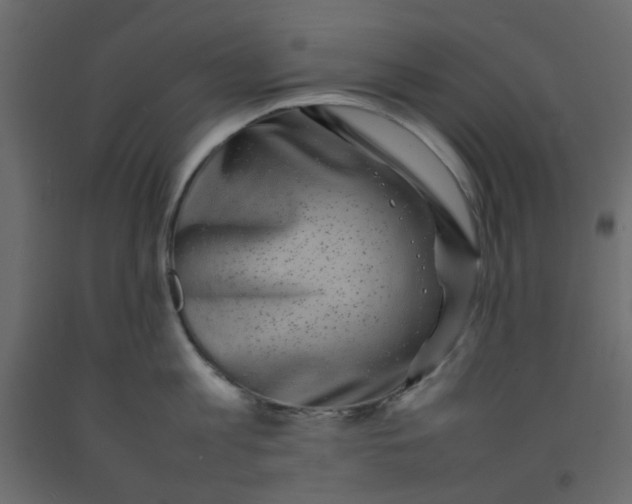 X0000092090813200710101059