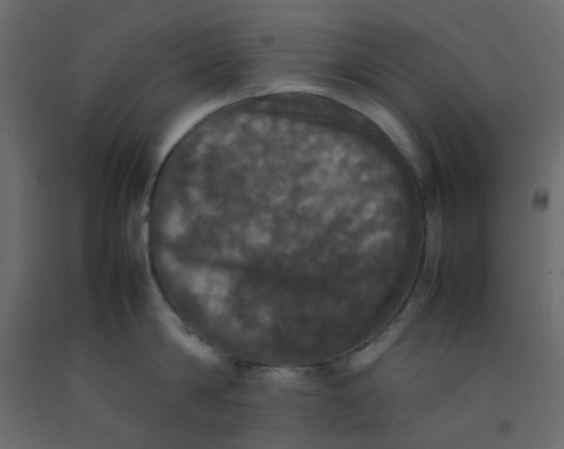 X0000092090814200710101059