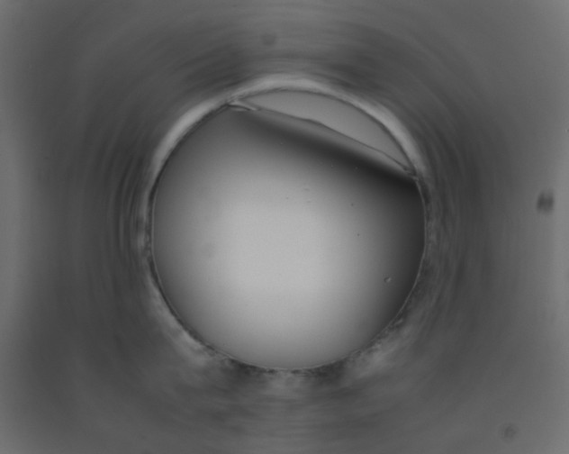 X0000092090815200710101059