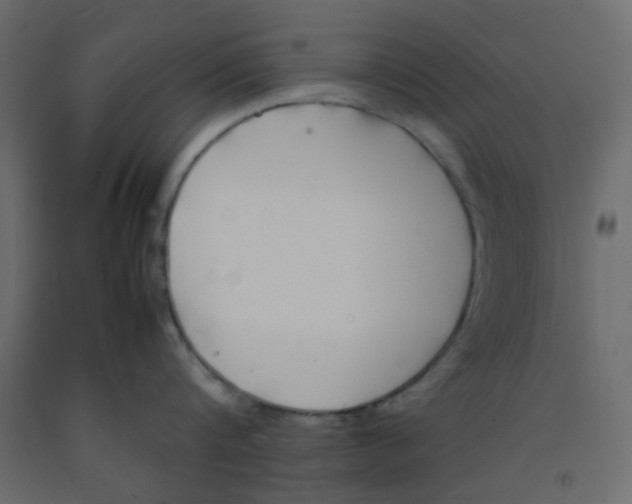 X0000092090816200710101059