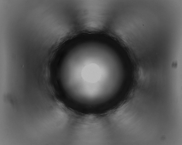 X0000092090818200710101059