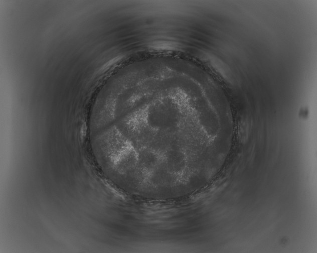 X0000092090821200710101059