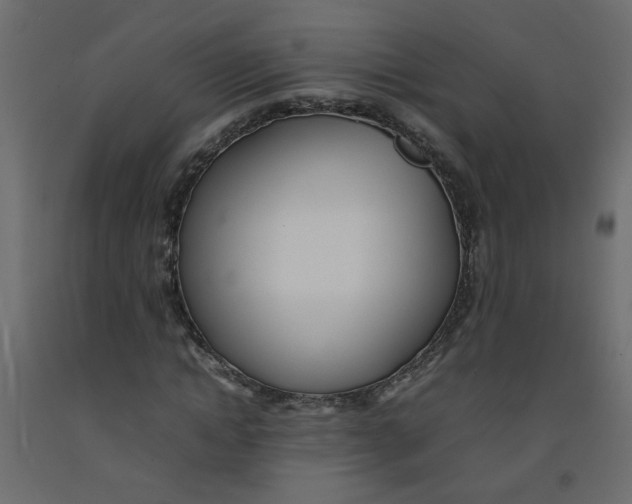 X0000092090822200710101059