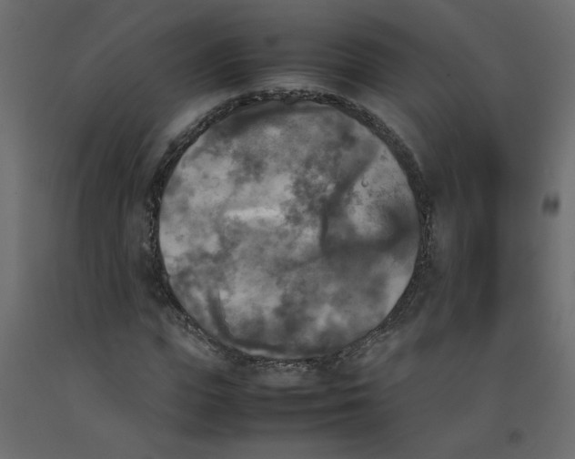 X0000092090823200710101059