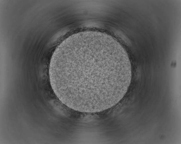 X0000092090824200710101059