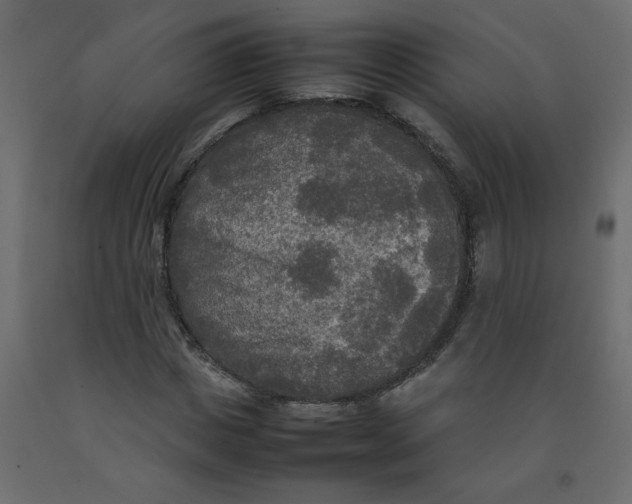 X0000092090825200710101059