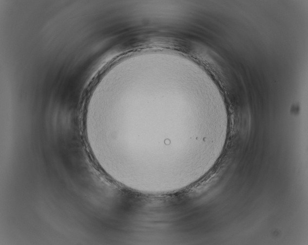 X0000092090828200710101059