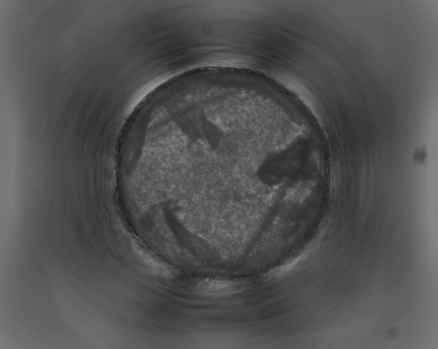 X0000092090829200710101059