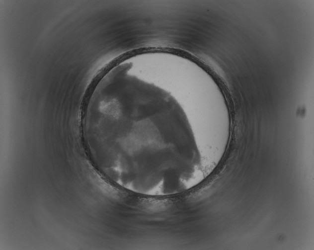 X0000092090831200710101059