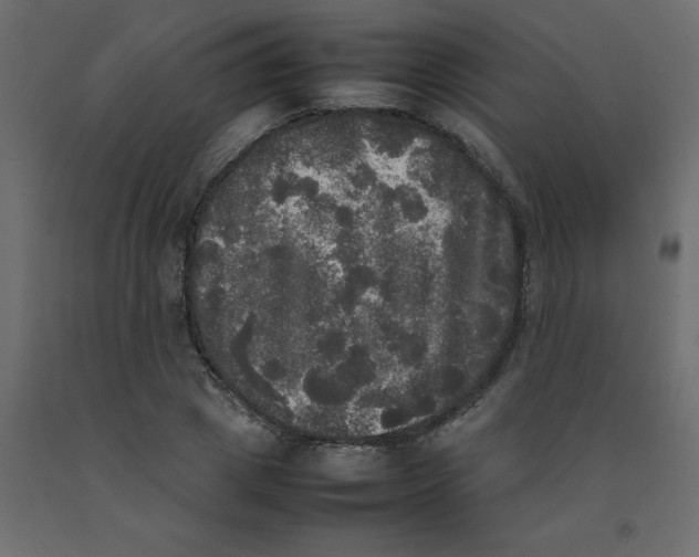 X0000092090833200710101059
