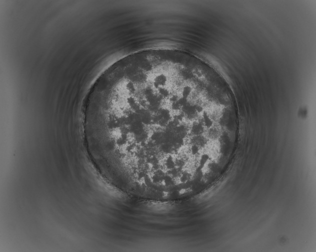 X0000092090835200710101059