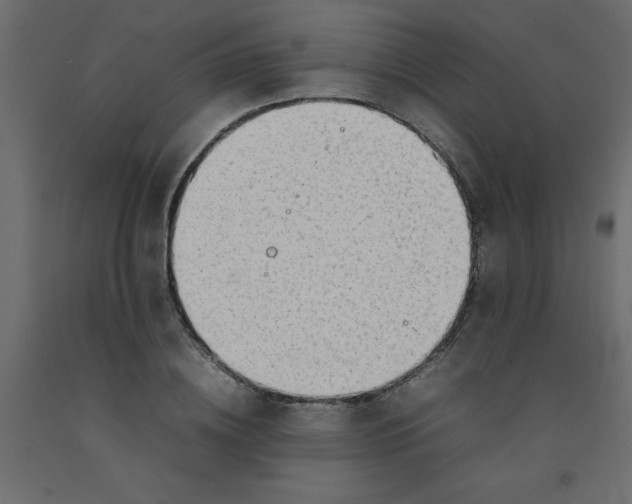 X0000092090836200710101059