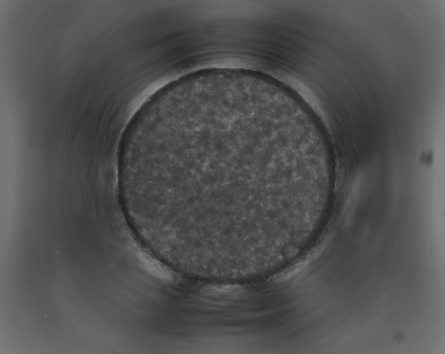 X0000092090837200710101059