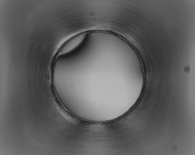 X0000092090838200710101059