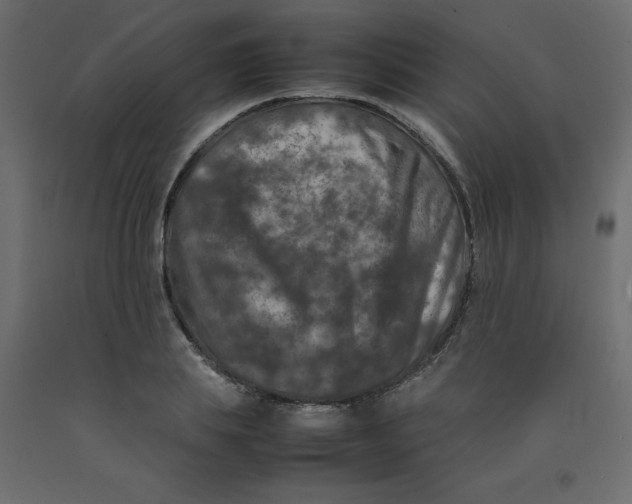 X0000092090839200710101059