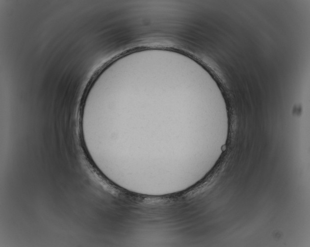 X0000092090840200710101059