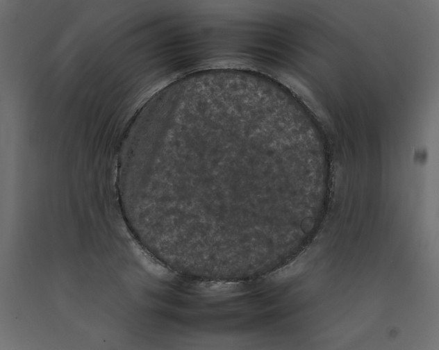 X0000092090841200710101059