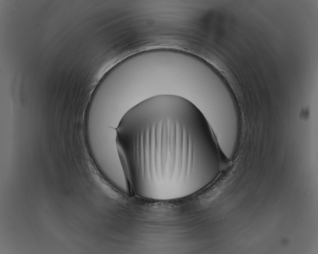 X0000092090842200710101059