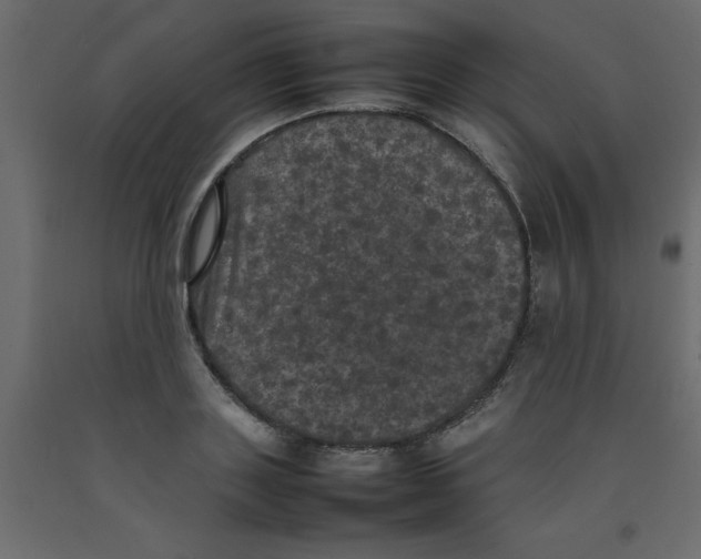 X0000092090843200710101059