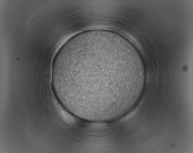 X0000092090844200710101059