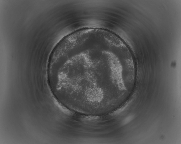 X0000092090845200710101059