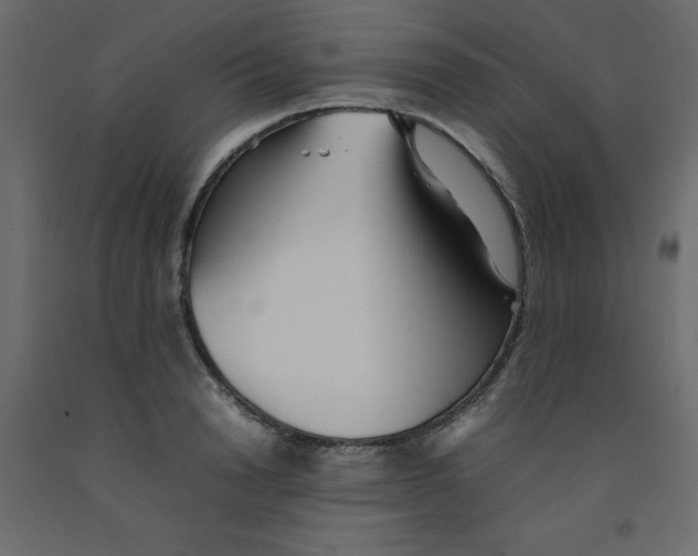 X0000092090846200710101059