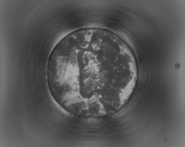 X0000092090847200710101059