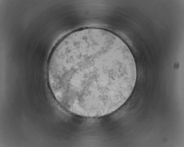 X0000092090848200710101059