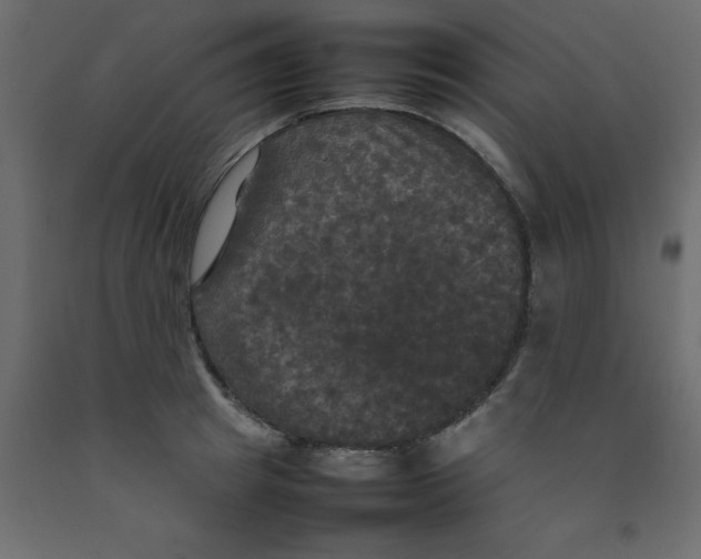 X0000092090849200710101059