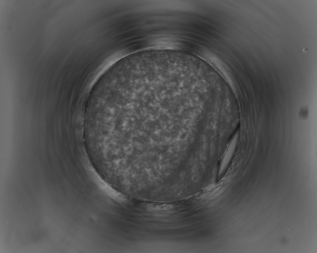 X0000092090851200710101059