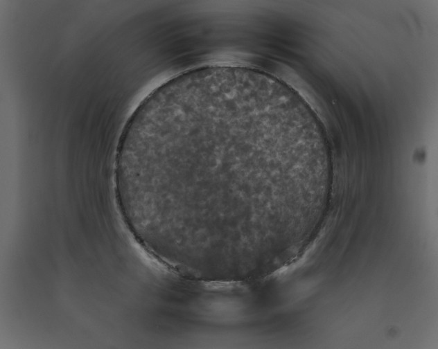 X0000092090853200710101059