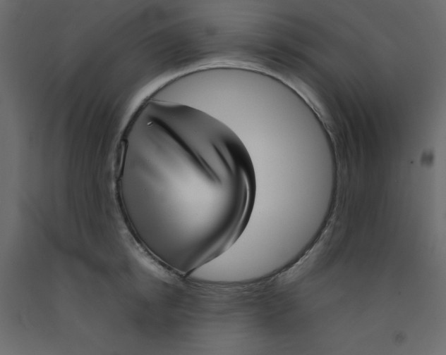 X0000092090854200710101059