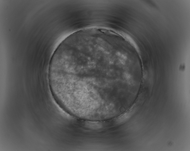 X0000092090855200710101059