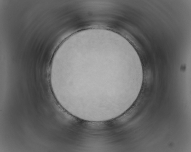 X0000092090856200710101059