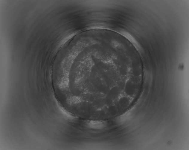 X0000092090857200710101059
