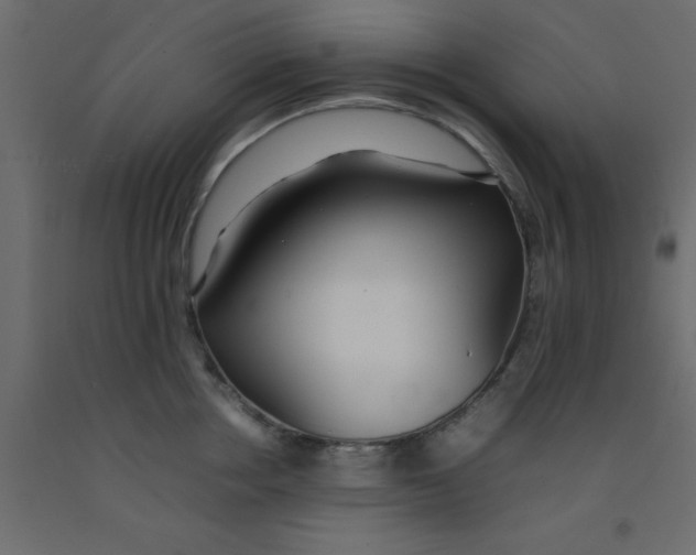 X0000092090858200710101059