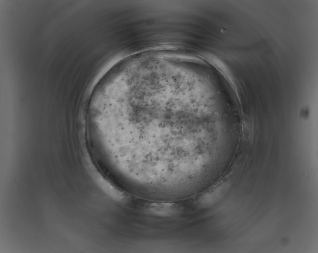 X0000092090859200710101059