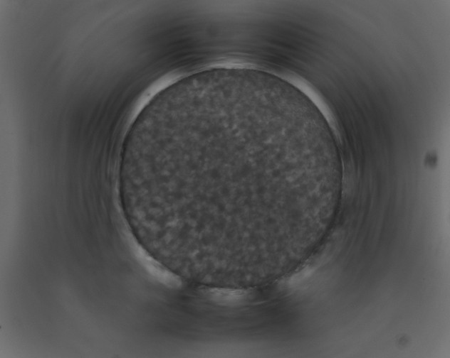 X0000092090861200710101059