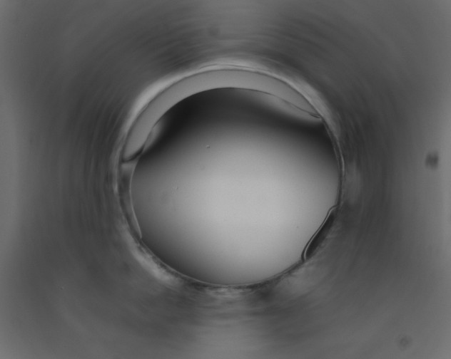 X0000092090862200710101059