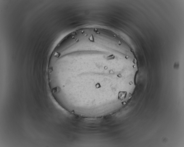 X0000092090863200710101059