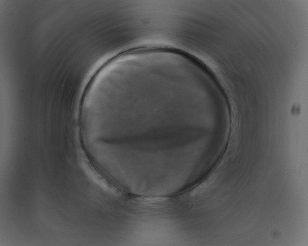 X0000092090864200710101059