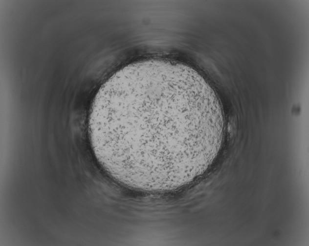 X0000092090867200710101059