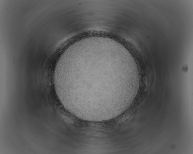 X0000092090870200710101059