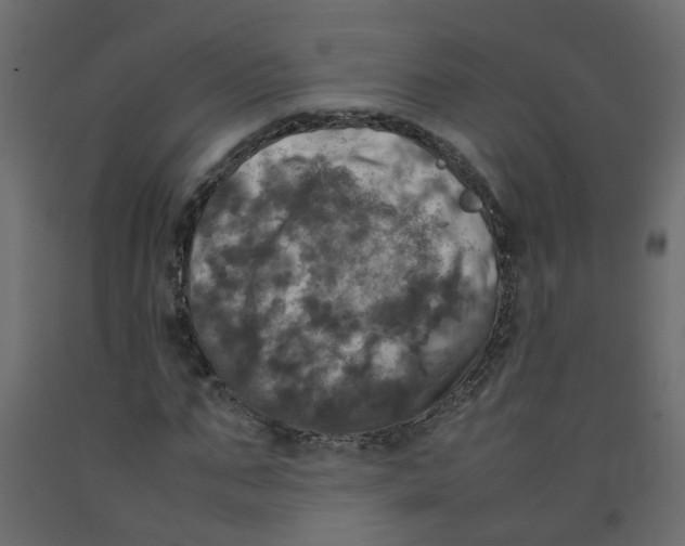 X0000092090871200710101059