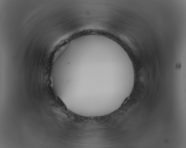 X0000092090872200710101059