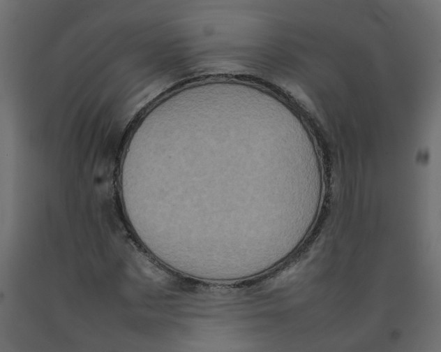 X0000092090873200710101059