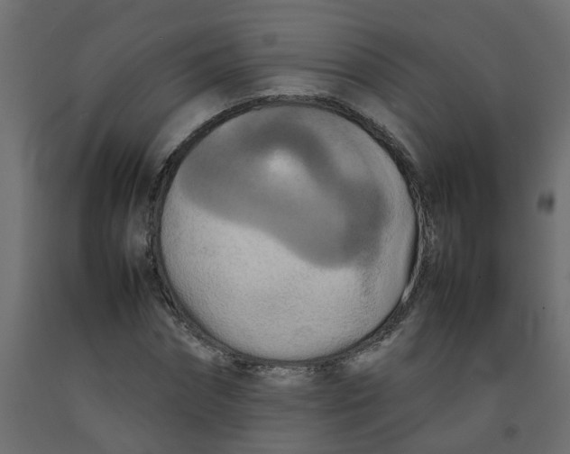 X0000092090874200710101059
