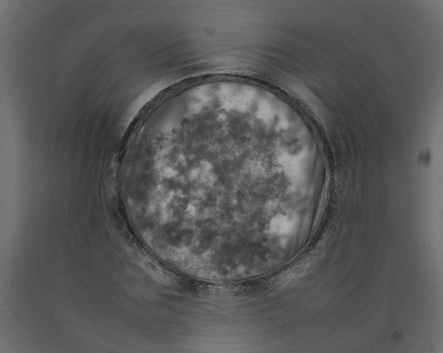 X0000092090875200710101059