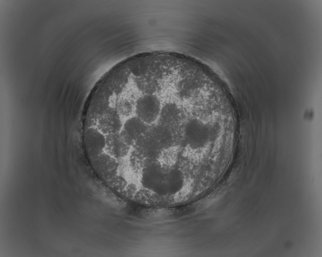 X0000092090879200710101059
