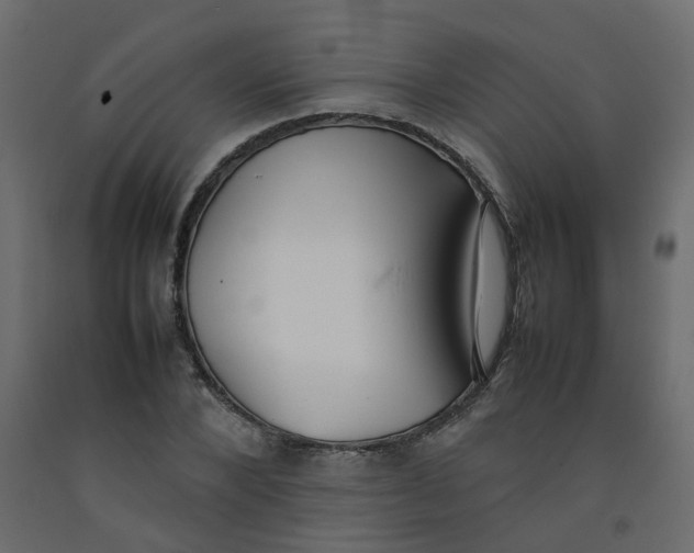 X0000092090880200710101059